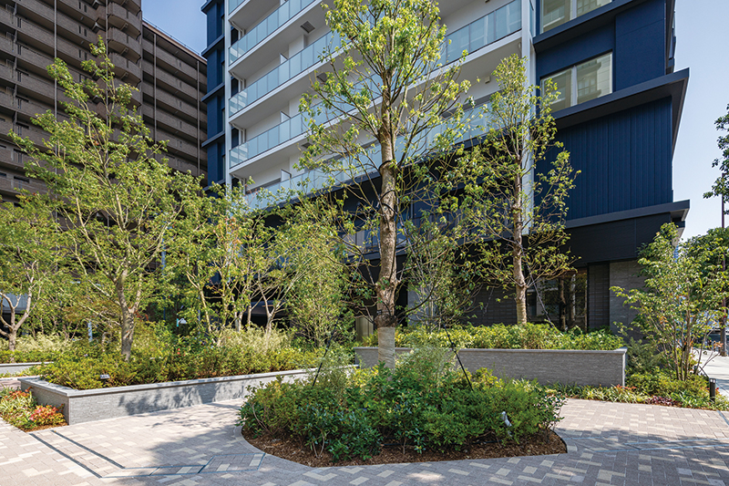 写真：樹名板を設置した開発物件の植栽