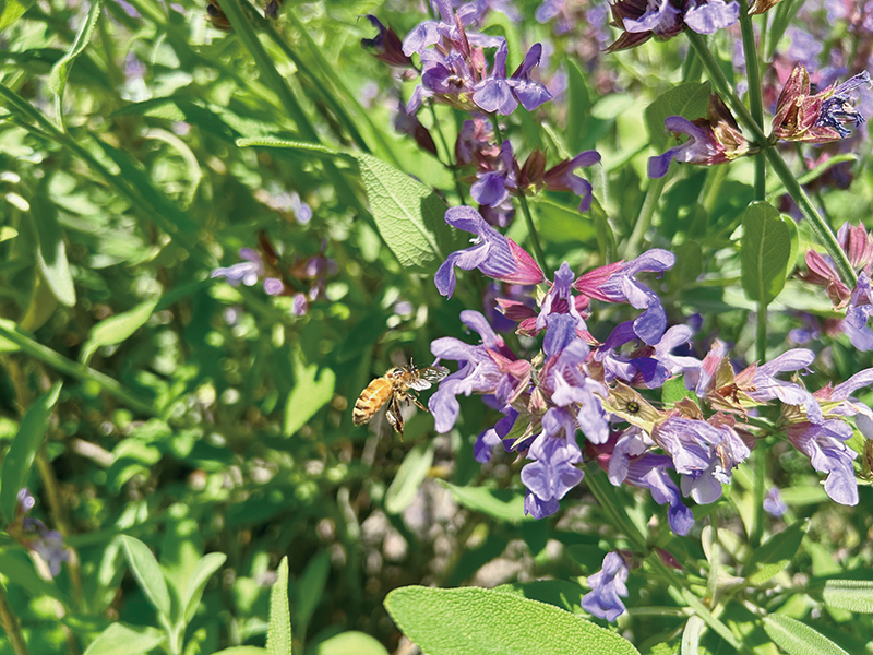 写真：周辺環境